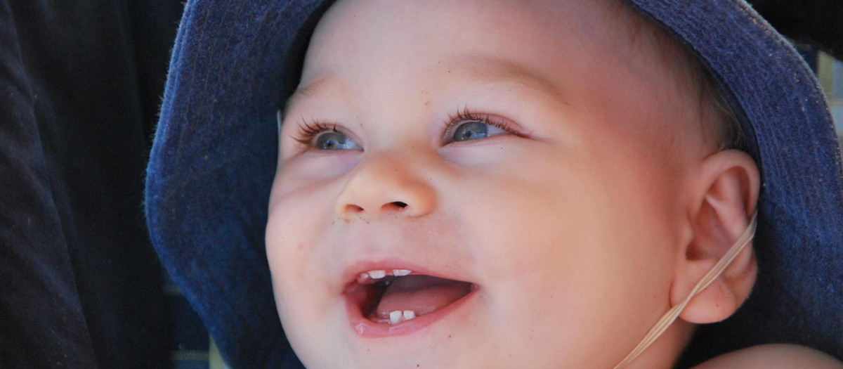 Los primeros dientes suelen salir entre los 6 y 12 meses de vida