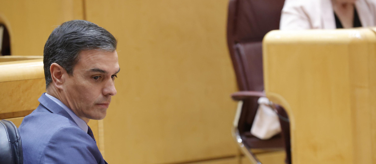 Pedro Sánchez este martes en el Senado