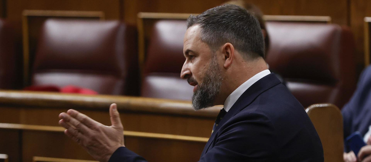 Santiago Abascal, durante su intervención del pasado martes en la Cámara Baja