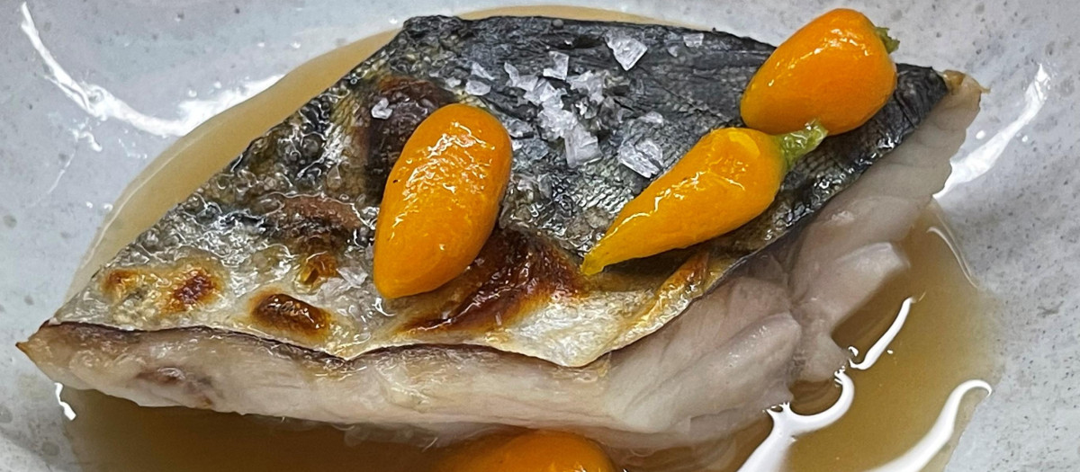 Sarda del restaurante Nado