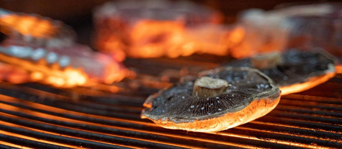 Cada vez hay más resultados que demuestran que existe el llamado 'eje microbiota-intestino-cerebro'