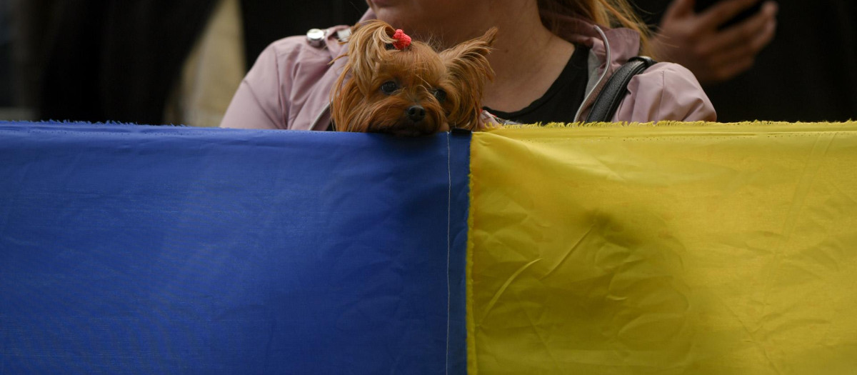 Refugiada ucraniana