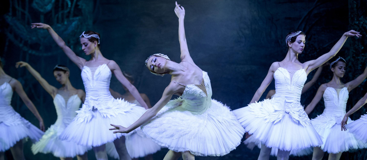 Miembros del Ballet Imperial Ruso interpretan "El Lago de los Cisnes"
Madrid
28/12/16
