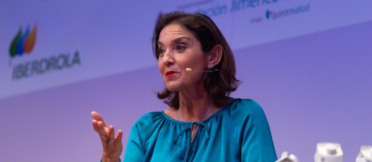 La ministra de Industria, Comercio y Turismo, Reyes Maroto