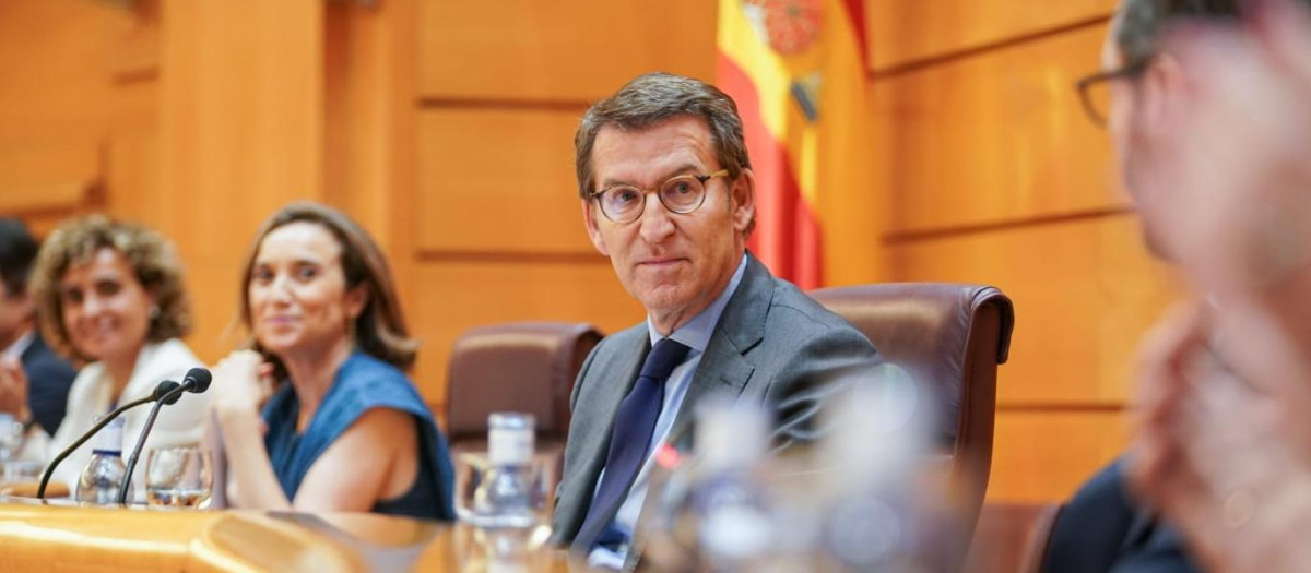 Feijóo durante la reunión con diputados y senadores del PP