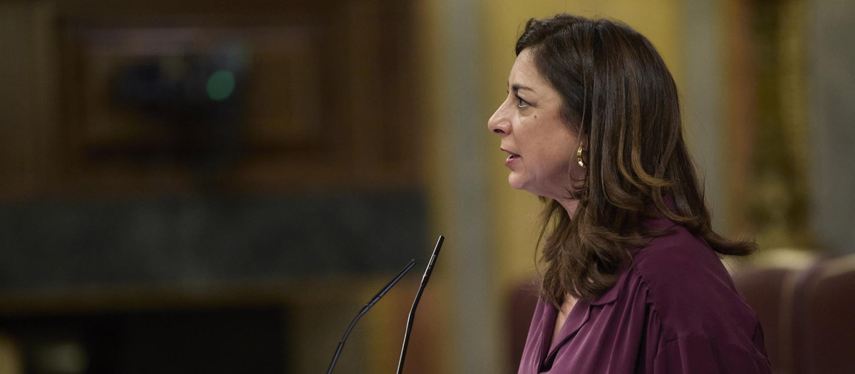 La diputada del PP, Tristana Moraleja, interviene en un pleno en el Congreso.