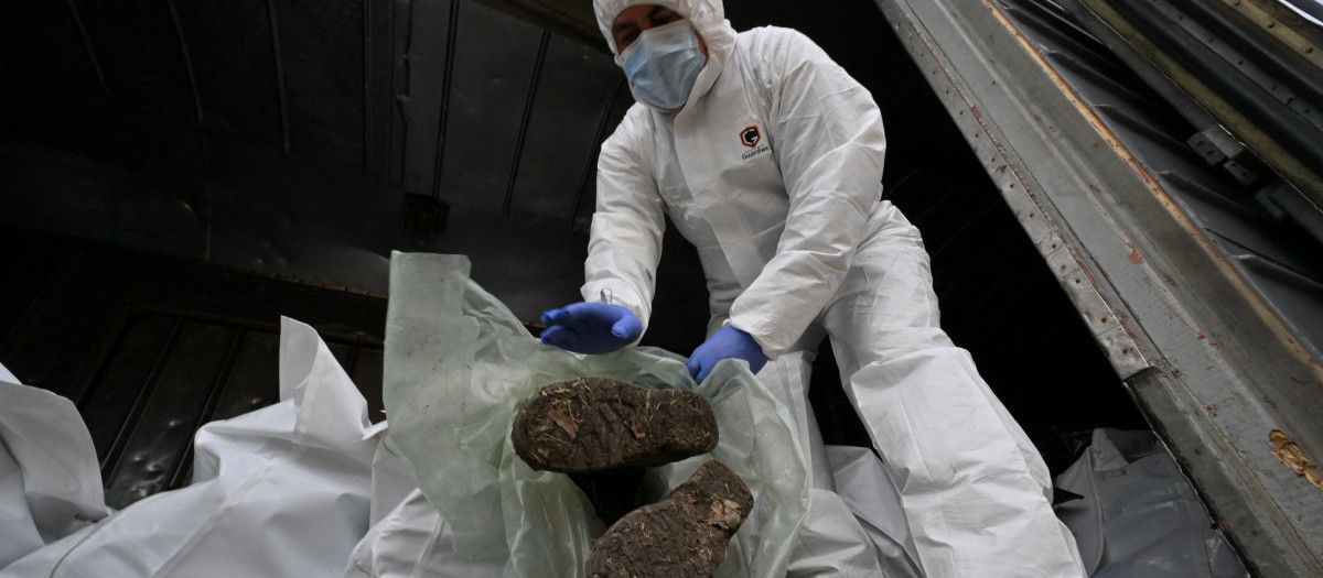 Soldado ruso muerto Ucrania