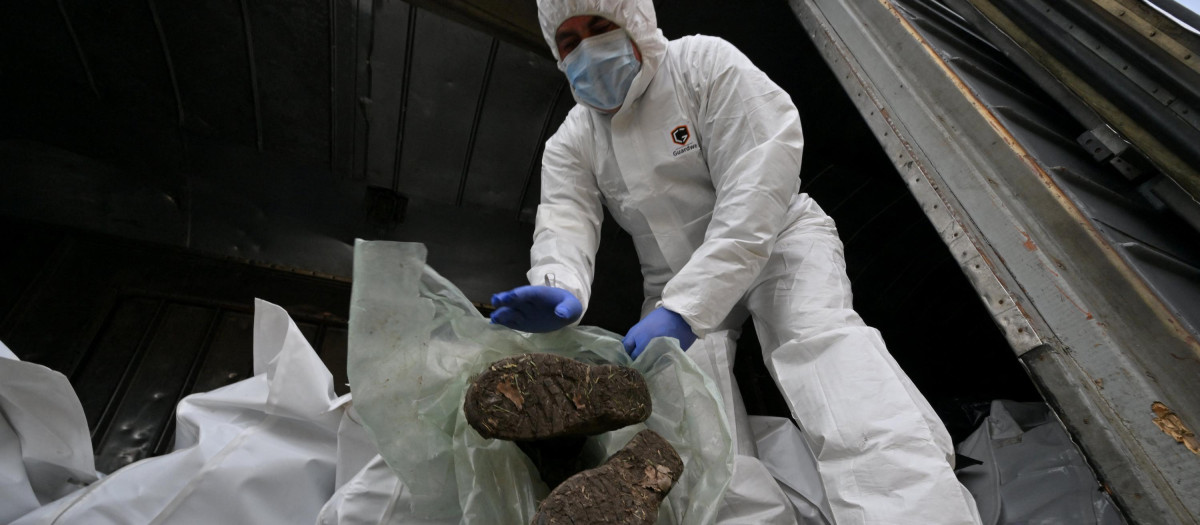 Soldado ruso muerto Ucrania