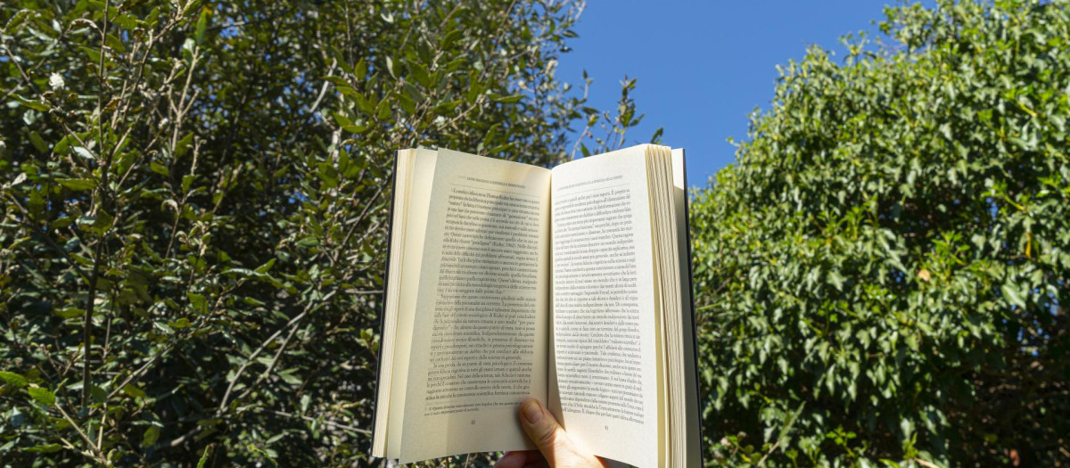 Diez libros para releer