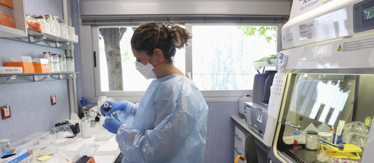 El laboratorio de arbovirus y enfermedades víricas importantes del Centro Nacional de Microbiología