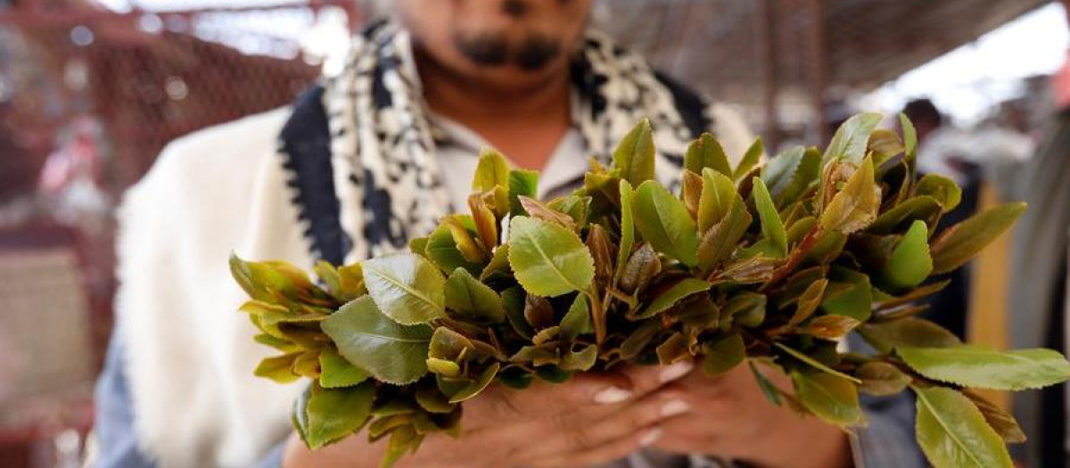 Un vendedor de khat en Yemen