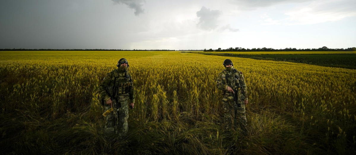 Soldados rusos vigilan un área junto a un campo de trigo en el sureste de Ucrania