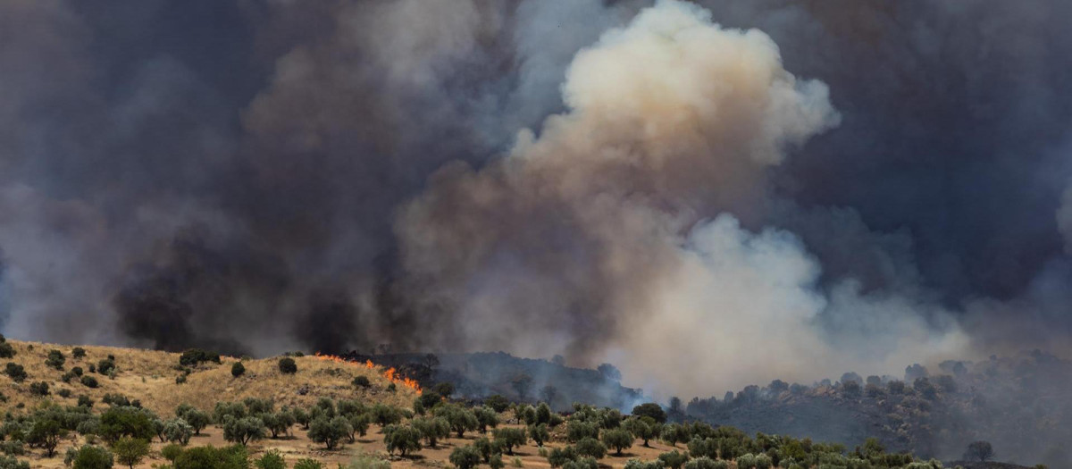 Incendio forestal en la finca Zurraquin dentro del término municipal de Toledo capital