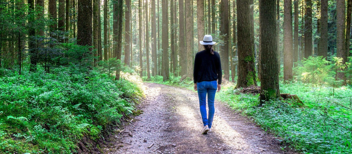 Caminar ayuda a perder grasa corporal