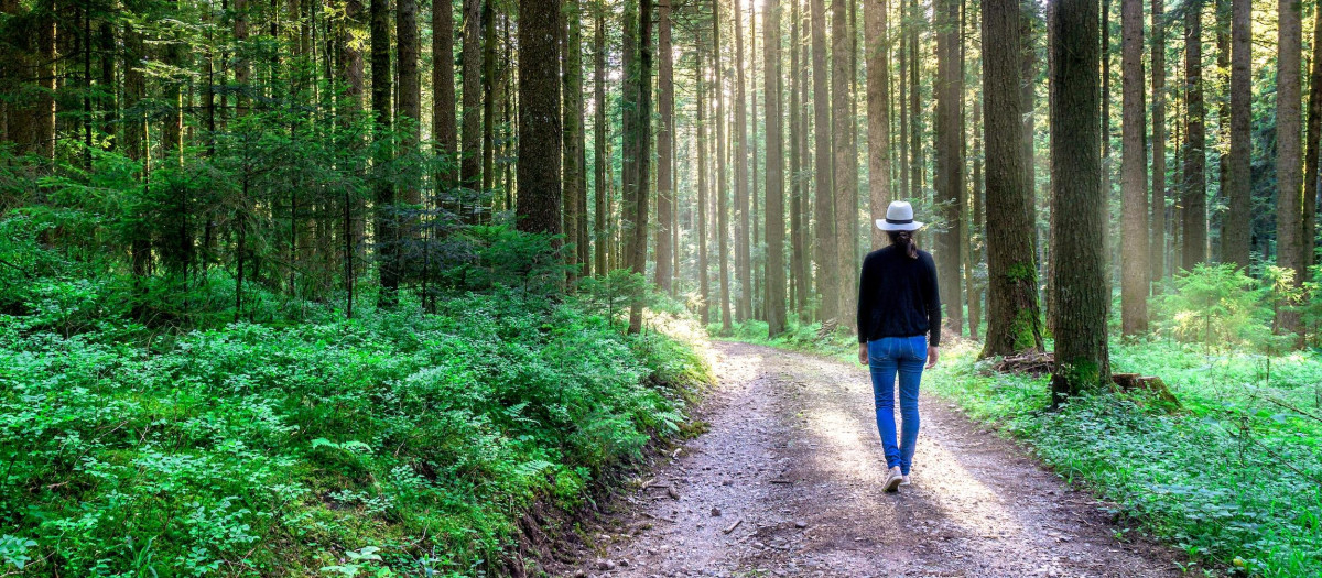 Caminar tres horas a la semana previene hipertensión, diabetes y obesidad