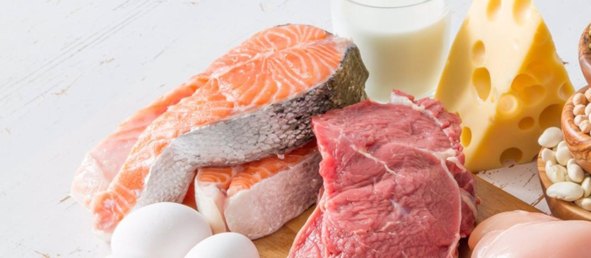Alimentos que contienen proteínas.