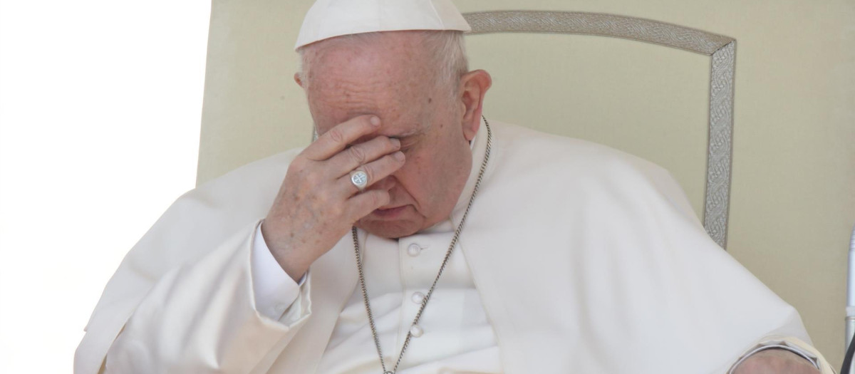 El Santo Padre Francisco, durante una audiencia general en San Pedro del Vaticano