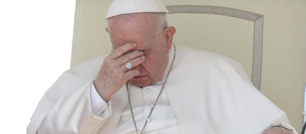 El Santo Padre Francisco, durante una audiencia general en San Pedro del Vaticano