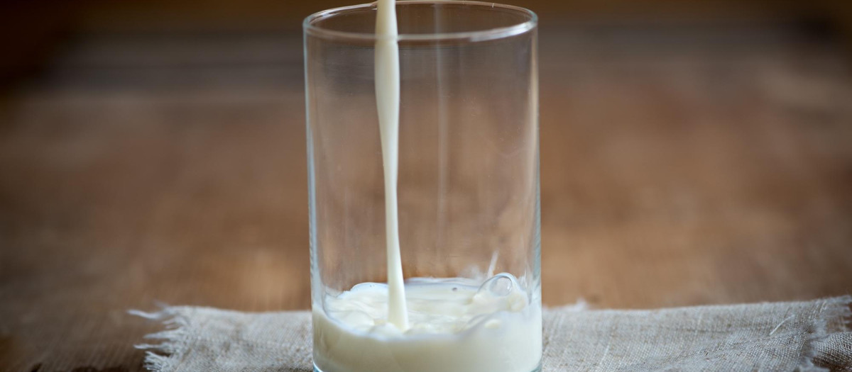 La leche es fuente fundamental de proteínas
