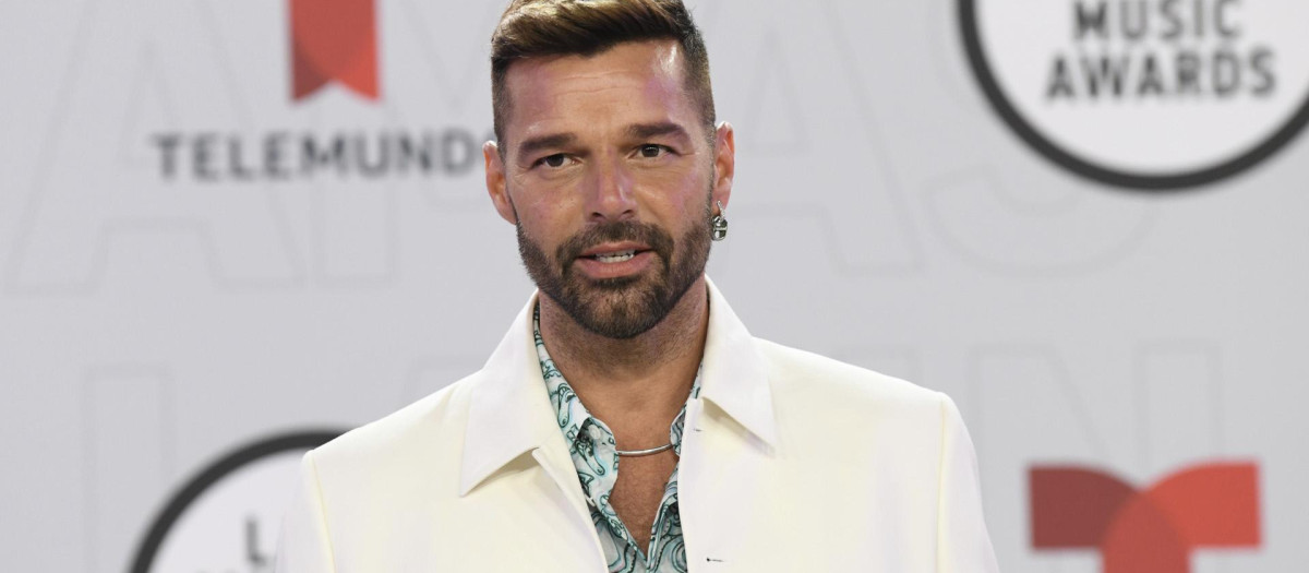 El cantante Ricky Martin