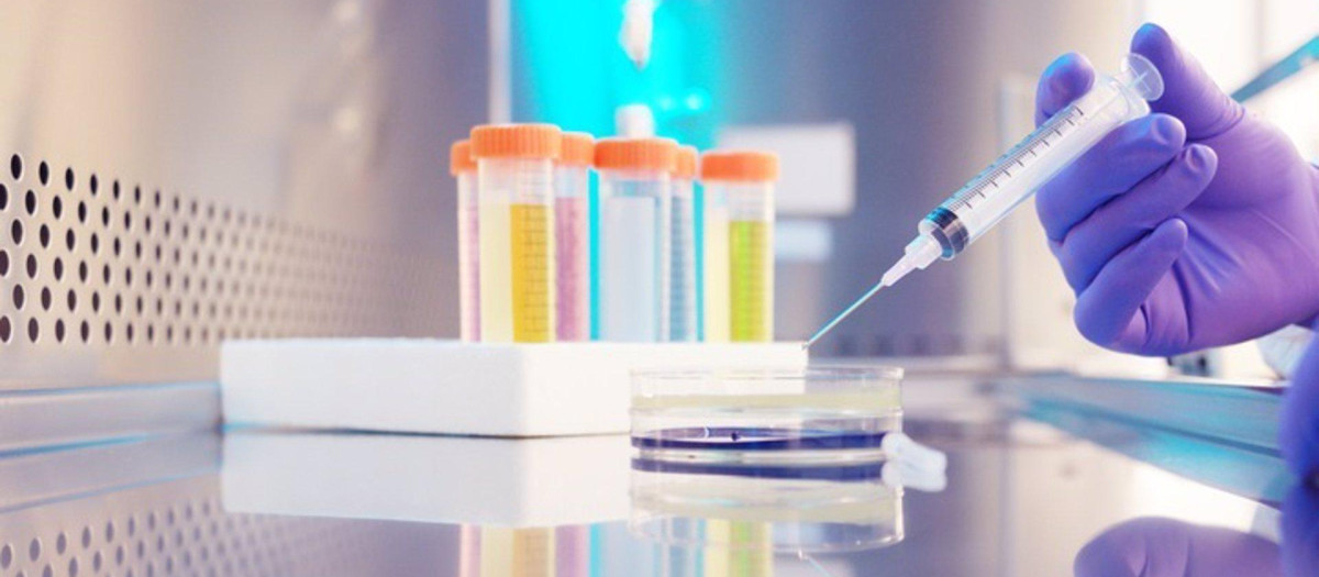 Se espera que comience los estudios de fase III de eficacia en bebés en Sudáfrica