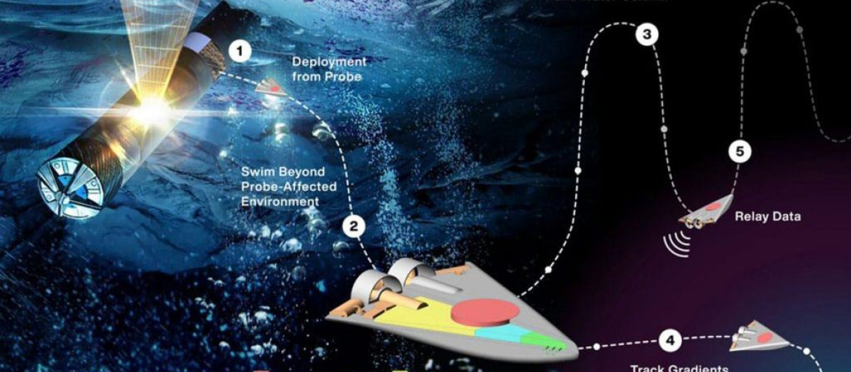 Concepto artístico de los micronadadores independientes de la NASA operando en un océano distante