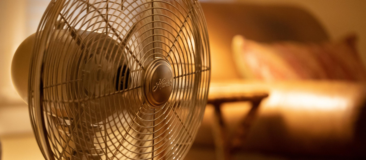 Ventilador