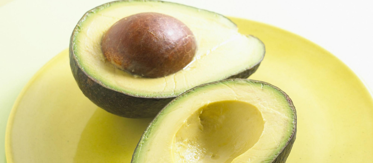 Aguacate