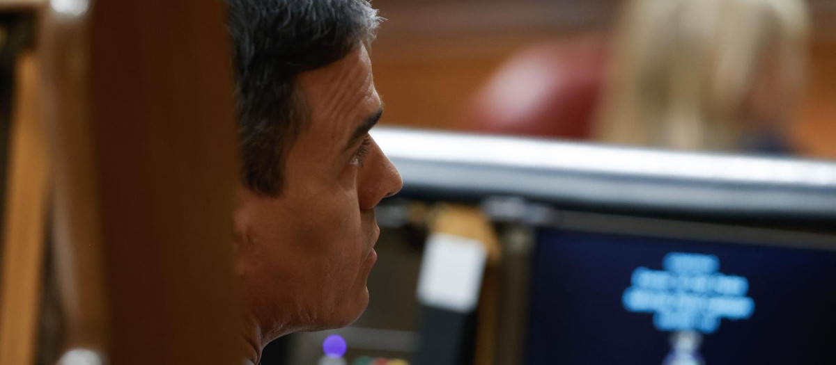 El presidente del Gobierno, Pedro Sánchez, durante el Debate sobre el estado de la nación