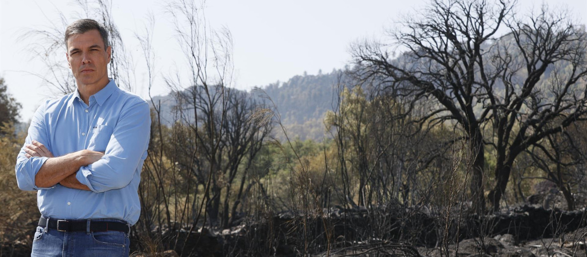 El presidente del Gobierno, Pedro Sánchez, posa ante el paisaje calcinado