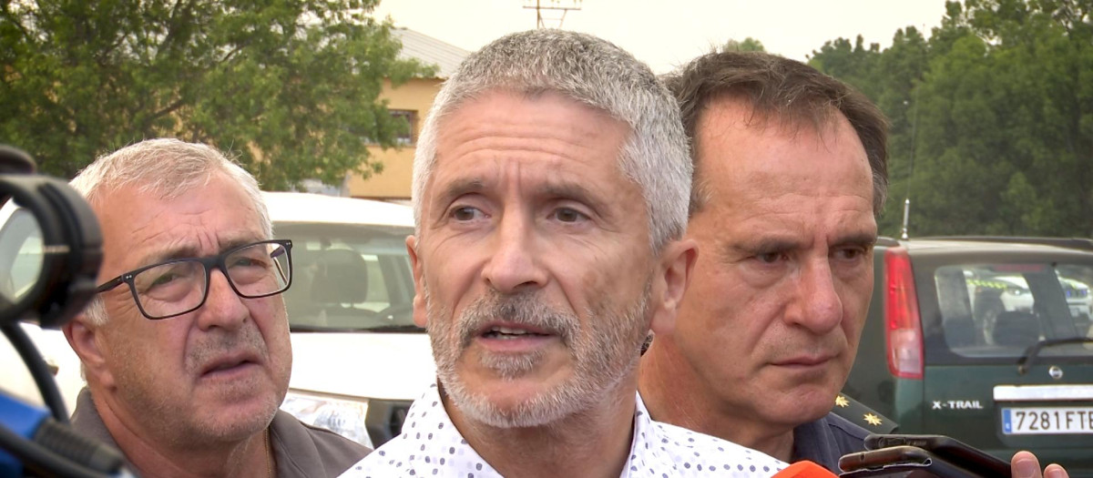 Imagen del ministro del Interior, Fernando Grande-Marlaska