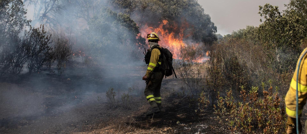 Varios bomberos trabajan en la extinción del fuego del incendio de Losacio, a 18 de julio de 2022, en Tábara, Zamora