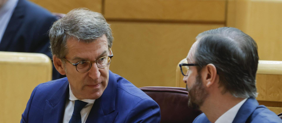 Feijóo y Maroto en el pleno del Senado