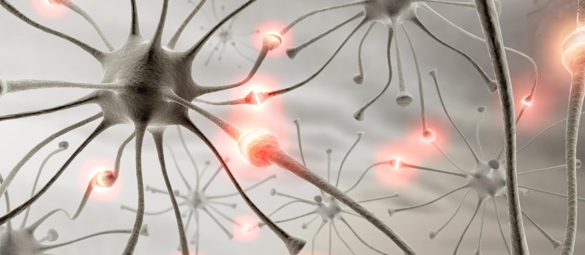 A través de ondas cerebrales, sería posible la manipulación de metasuperficies