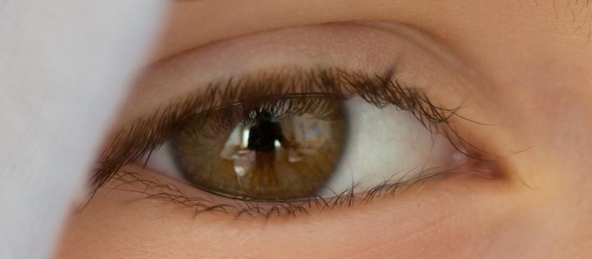La córnea es una parte fundamental del ojo