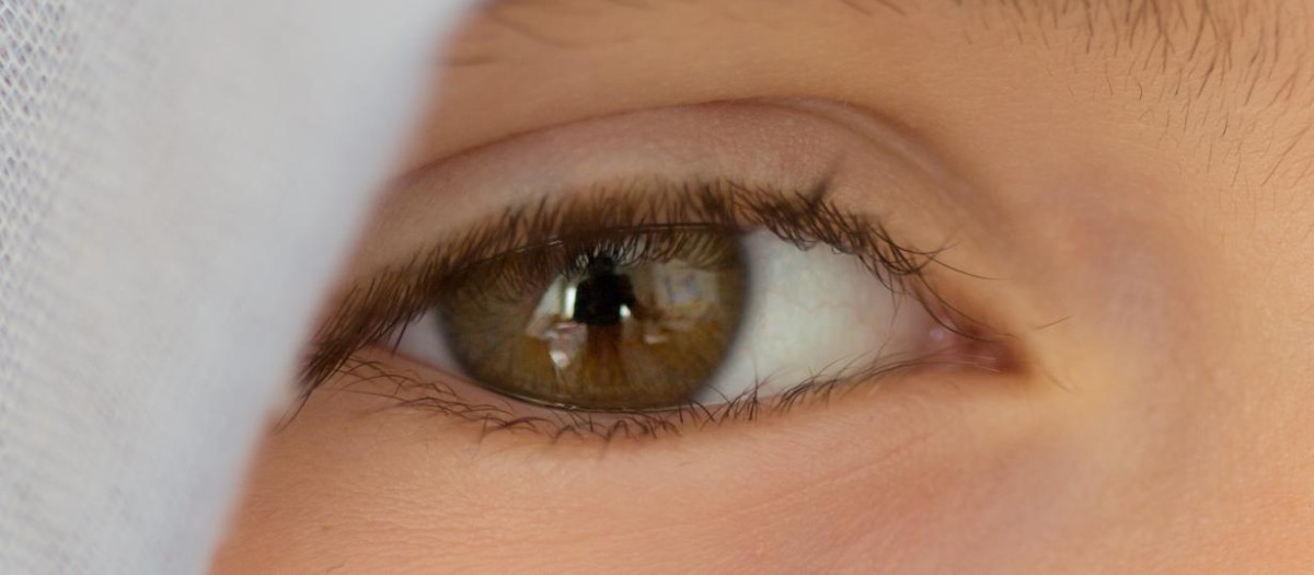 La córnea es una parte fundamental del ojo