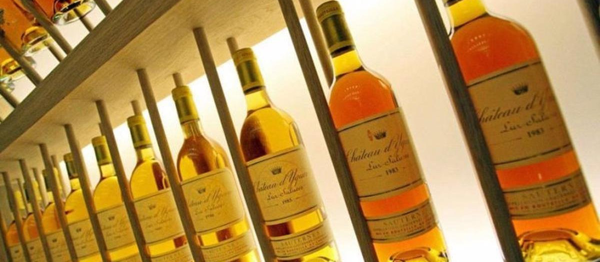 Roban 45 botellas del restaurante Atrio de Cáceres, entre ellas un Château d'Yquem de 1806.

El hotel restaurante Atrio de Cáceres, con dos estrellas Michelín, ha sufrido un robo en su bodega de donde se han llevado 45 botellas de vino, 38 de Romanée Conti y 7 de Château d'Yquem, una de ellas de 1806 comprada en Londres en el año 2000 y valorada en unos 350.000 euros, según se recoge en la carta de vinos del restaurante.

POLITICA AUTONOMÍAS
ATRIO