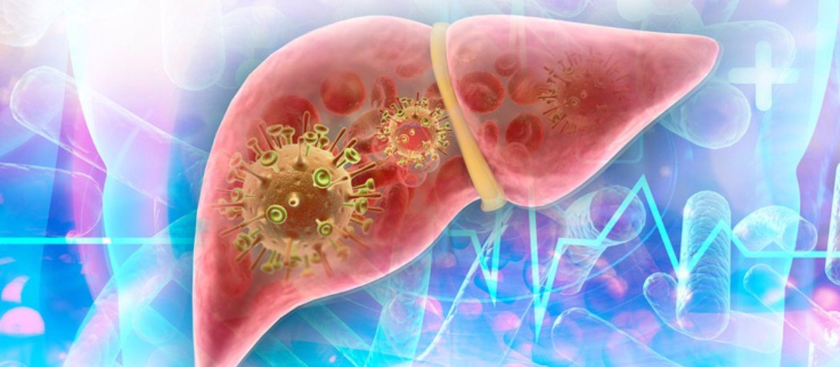 Virus de la hepatitis