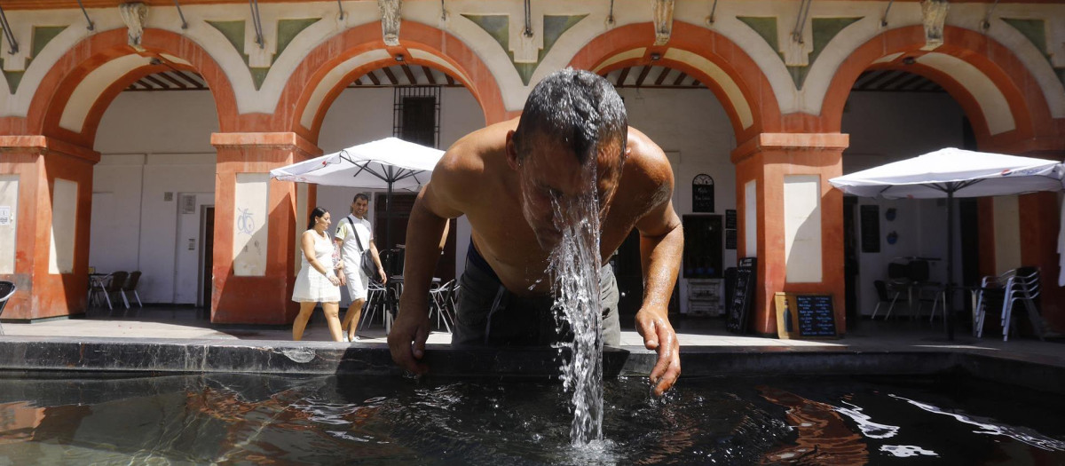 Un hombre se refresca en la fuente de la plaza de la corredera de Córdoba