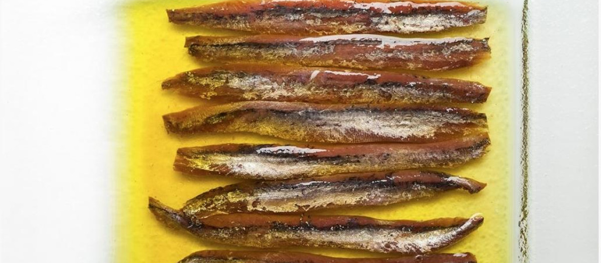 Anchoas