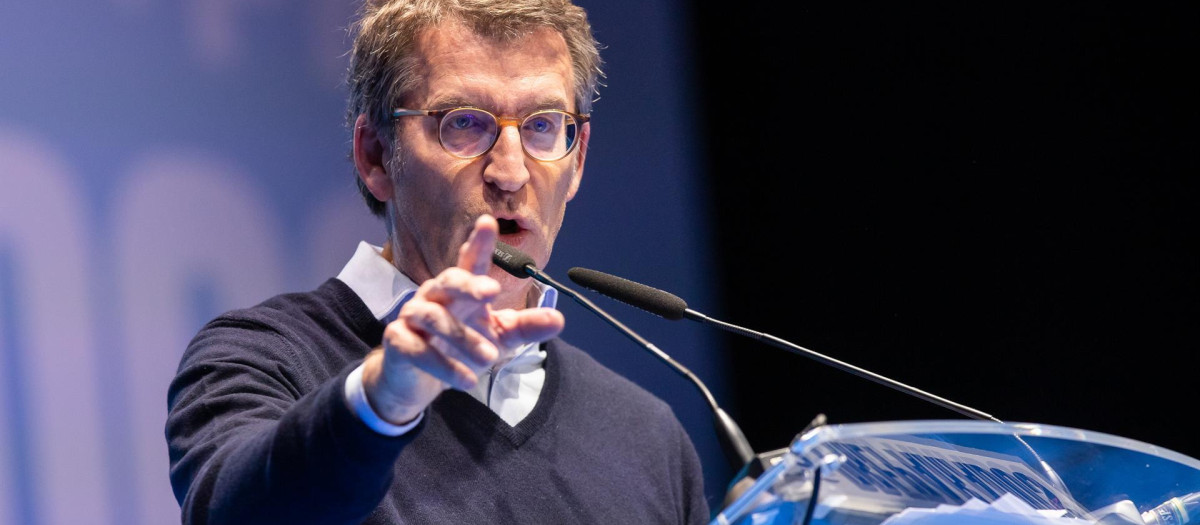 El presidente del PP, Alberto Díaz Feijóo, quiere encabeza el centro derecha navarro