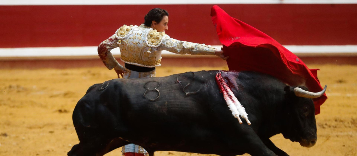 Roca Rey en San Sebastián