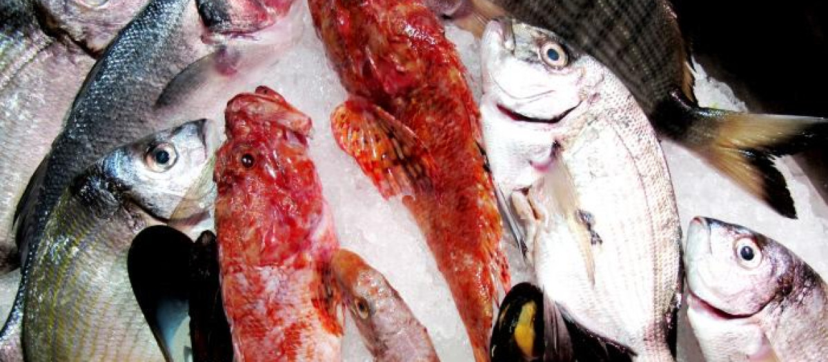 FISH MARKET.FISH,FISH-MARKET,WEEKLY MARKET,MARKETPLACE,FLEA MARKET,PISCES,SEAFOOD,FISH-SELLING,CARP,SHELLS,MUSSELS,FOOD,ALIMENT,HEALTH,ANIMAL,ANGLE,FISH,HOVEL,DAINTY,COOL,RAW,FINS,FISH-MARKET,WEEKLY MARKET,MARKETPLACE,FLEA MARKET,FISHERY,SHELLFISH,SEA ANIMAL,GILLS,SLIPPERY,DEFICIENT IN CALORIES,FISH-SELLING,ICE CREAM,ICE-CREAM,ICECREAM,DESSERT,SALT WATER,SEA,OCEAN,WATER,DEAD,NUTRITION,FRESH,SWIMMING,SWIMING,SWIM,SWIMS,TO DO THE CRAWL,HEALTHY,FISCHSTAND,ANGLERSPORT,FISCHSTAND