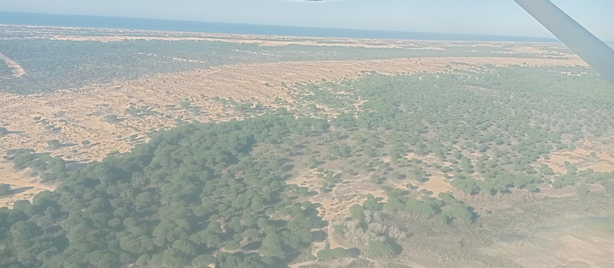 Imágenes de Doñana desde el aire donde se puede apreciar la fuerte sequía