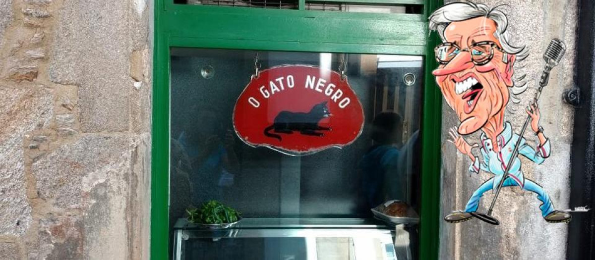 Gato negro