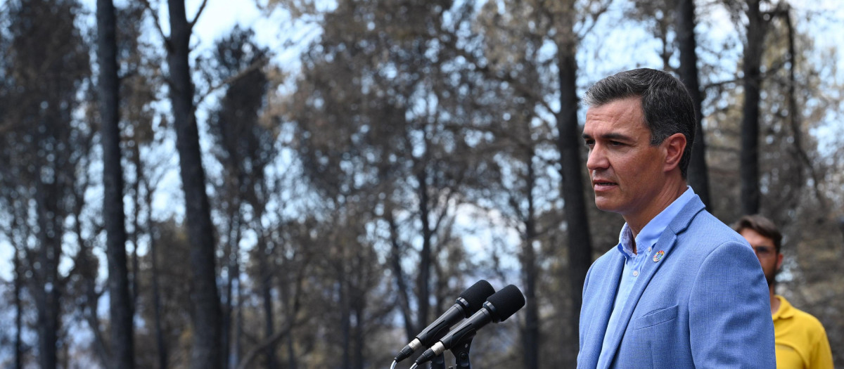 Pedro Sánchez en una visita a la Comunidad Valenciana