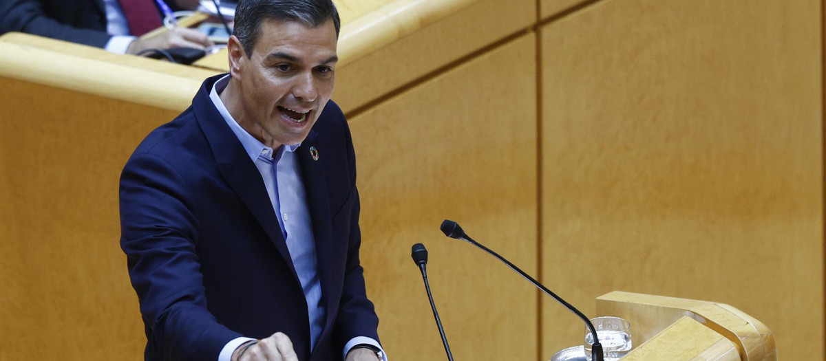 El presidente del Gobierno, Pedro Sánchez, interviene en el pleno del Senado