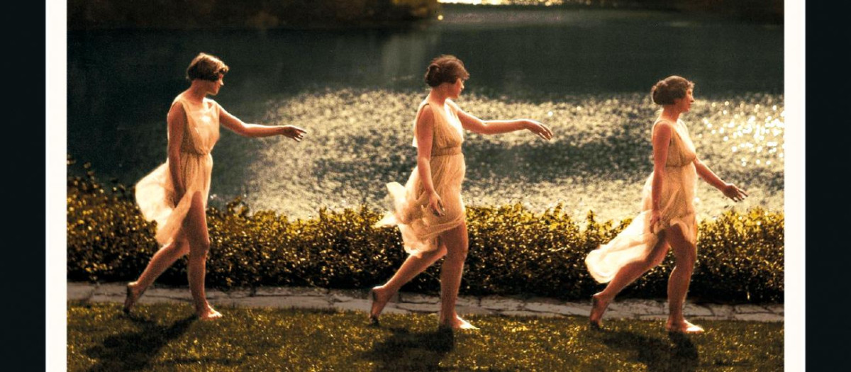 Portada de «Enredo en Willow Gables» de Philip Larkin