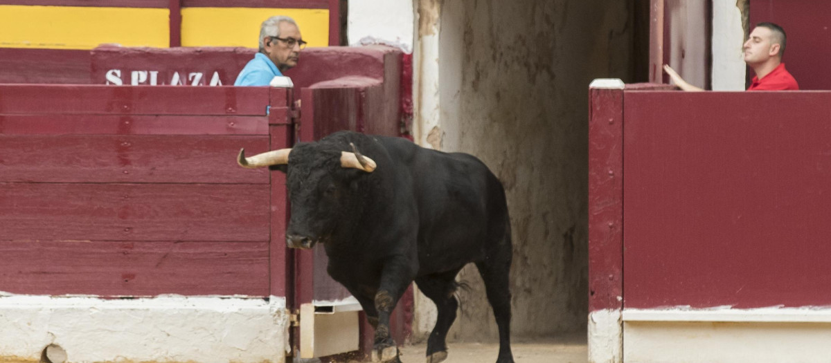 Plaza de toros de Murcia
