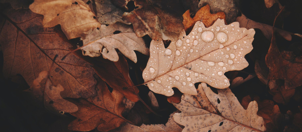 Otoño
